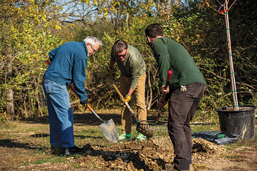 1000_Cherry_Trees-planting-web.jpg