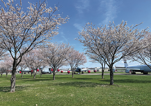 1000_Cherry_Trees_Air_Force_Museum-web.jpg