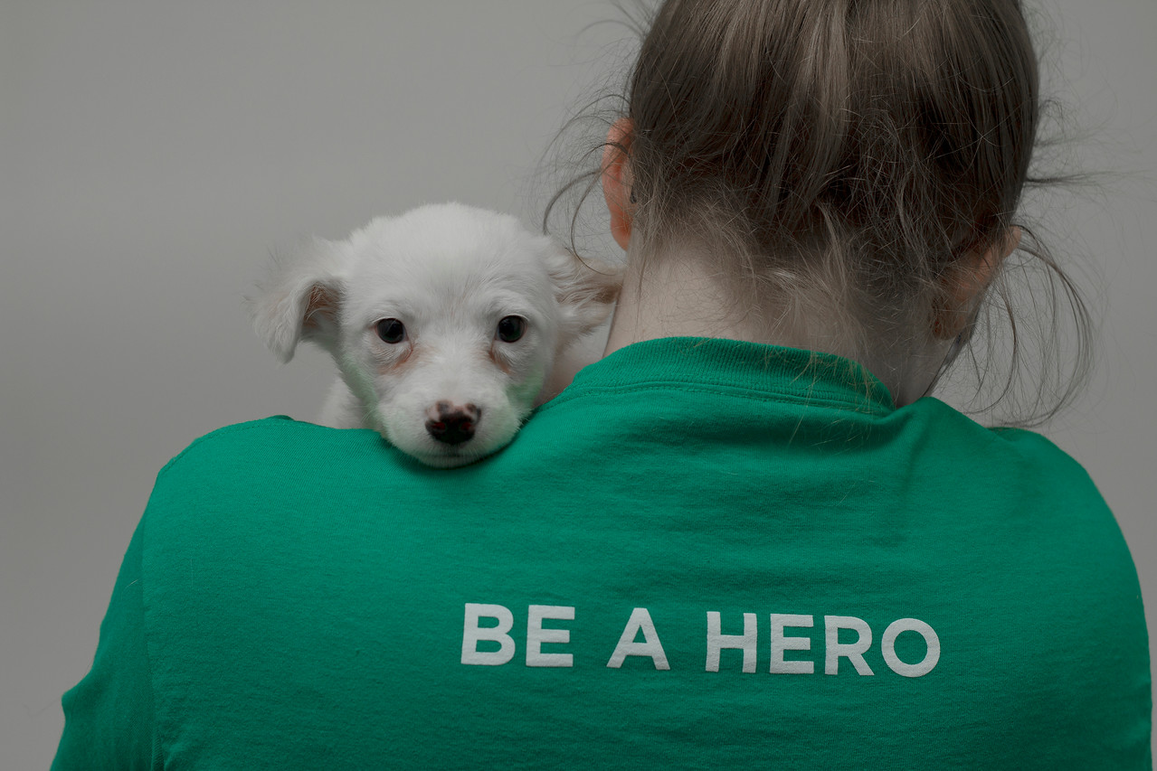 We Help You Help Others Humane Society Of Greater Dayton We help you help others humane society of greater dayton