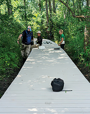 Beaver-Creek-Wetlands-Association---Nolin-Reserve-boardwalk-0001.jpg