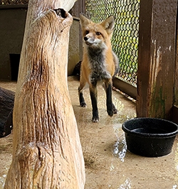 Brukner-Nature-Center.jpg