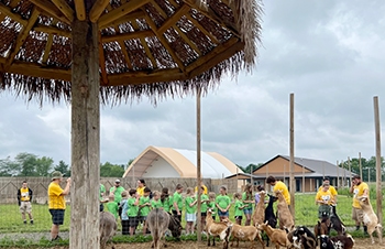 Connections-Wild-Hearts-African-Farm.jpg